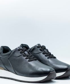 کتانی مهاجر